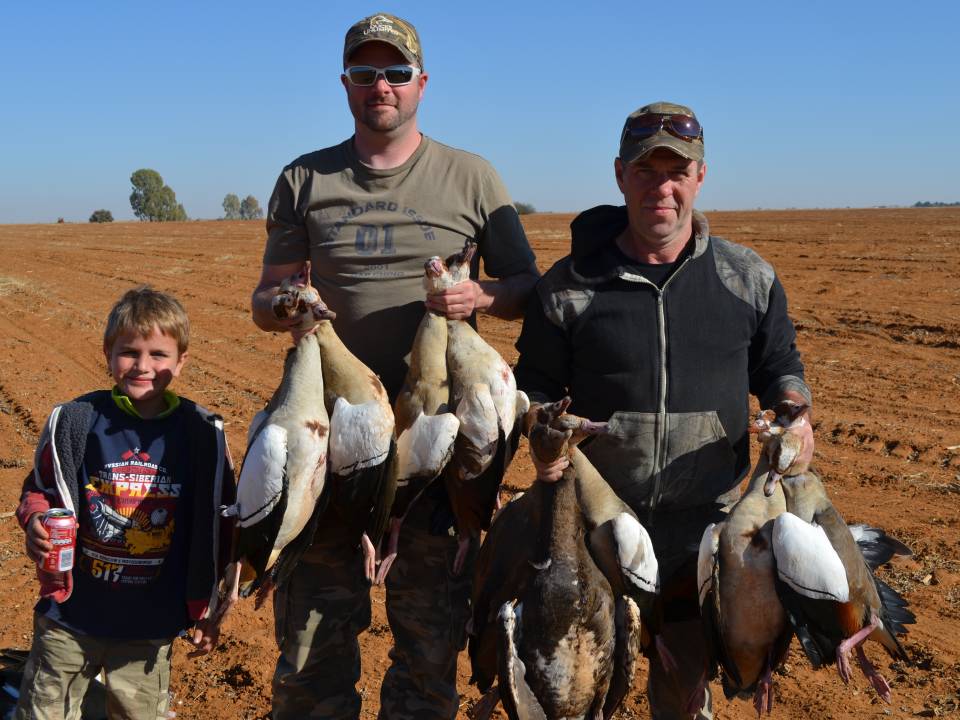 Bag of Egyptian Geese from hunting in Africa.jpg